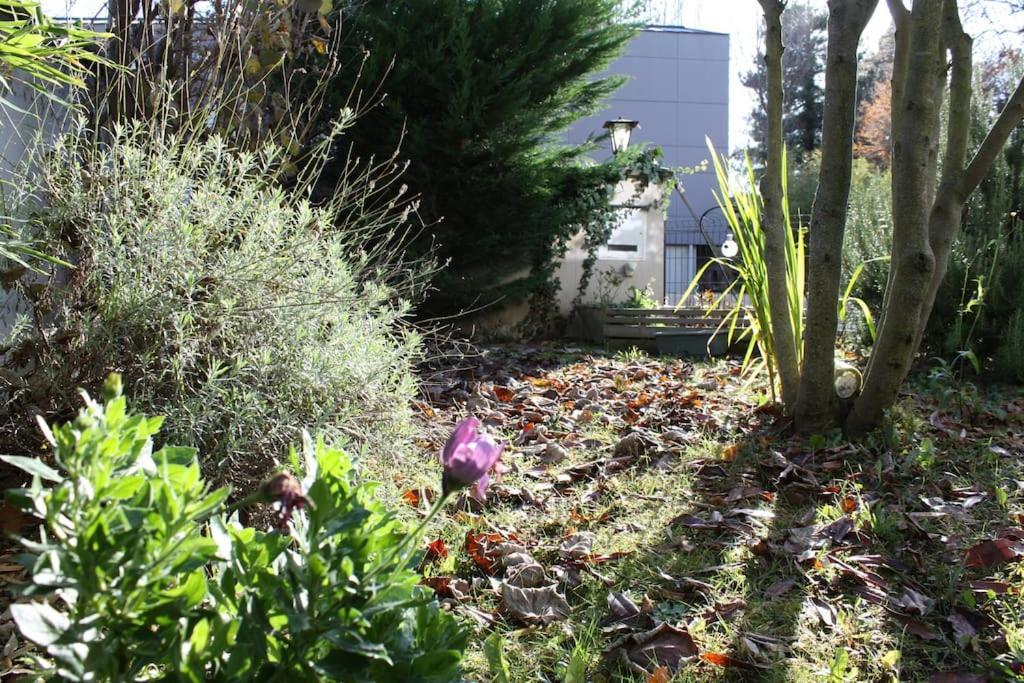 Superb Apt- Garden- 3 Parkings, Near Petite Venise ! Colmar Exteriör bild