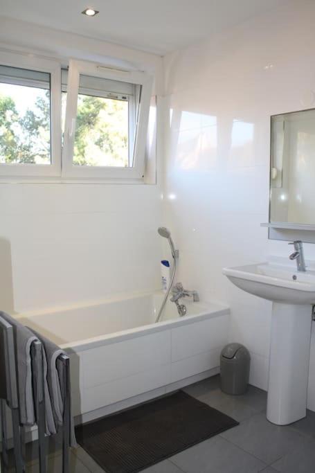 Superb Apt- Garden- 3 Parkings, Near Petite Venise ! Colmar Exteriör bild