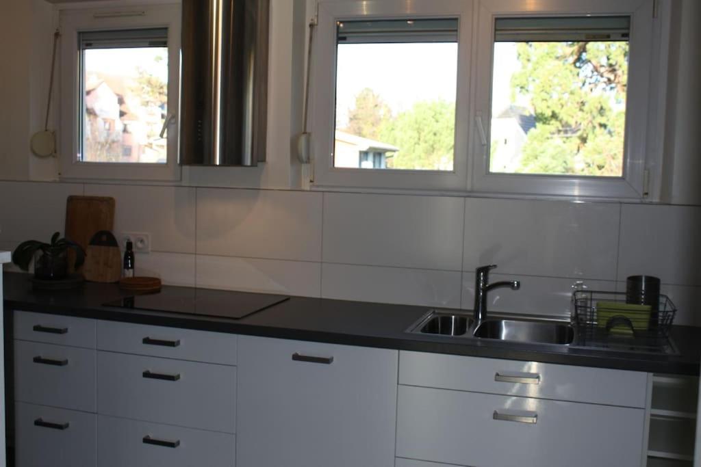 Superb Apt- Garden- 3 Parkings, Near Petite Venise ! Colmar Exteriör bild
