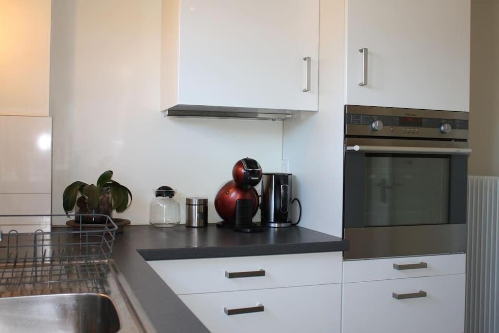 Superb Apt- Garden- 3 Parkings, Near Petite Venise ! Colmar Exteriör bild