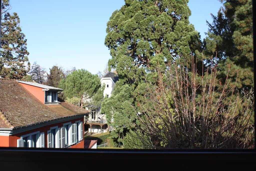 Superb Apt- Garden- 3 Parkings, Near Petite Venise ! Colmar Exteriör bild